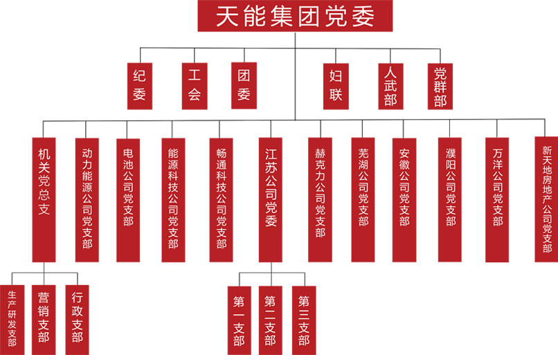 VSport体育建团党委组织架构